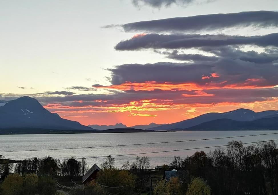 Liten Kjellerleilighet. Landlig Rolig Omrade. Tromsø Exteriér fotografie
