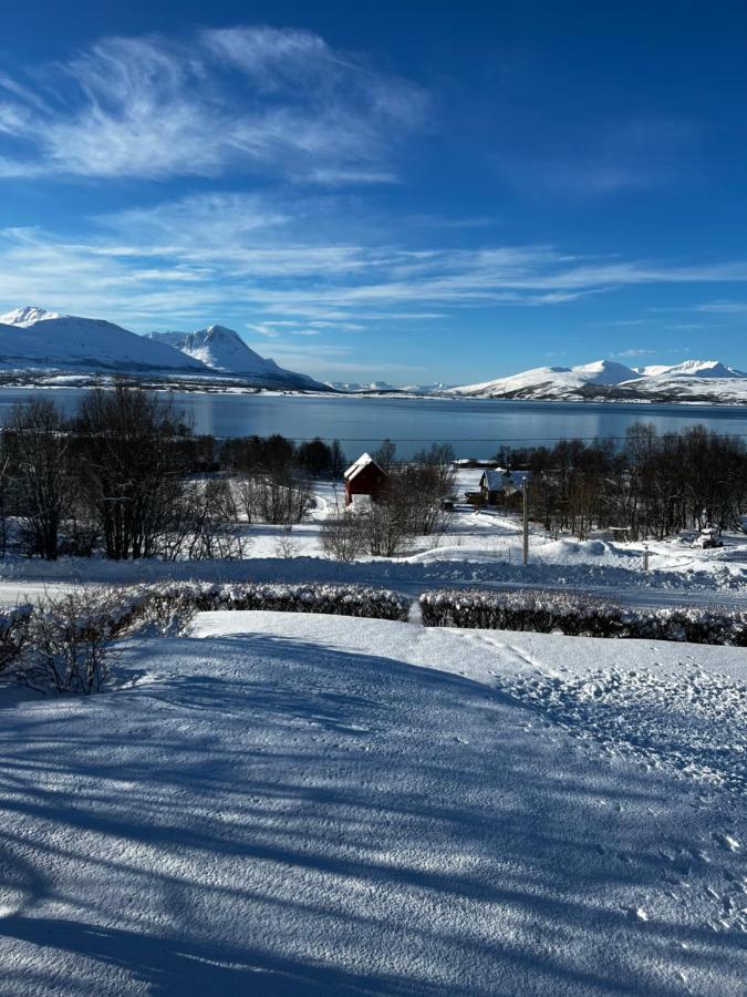 Liten Kjellerleilighet. Landlig Rolig Omrade. Tromsø Exteriér fotografie